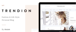 Trendion | A Personal Lifestyle Blog and Magazine WordPress Theme 1.1.7