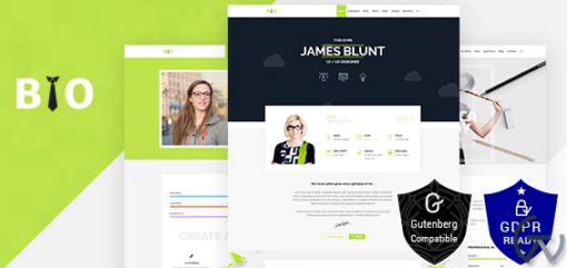 Resume CV Freelancer WordPress Theme