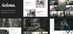 Selena. - Multipirpose WordPress Theme 1.0.3
