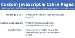 Custom JavaScript & CSS in Pages! 3.8
