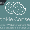 Cookie Consent WordPress Plugin to Accept Cookie Policy