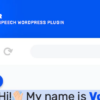 Text to Speech Plugin for WordPress