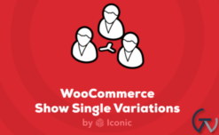 WooCommerce Show Single Variations – Iconic 1.22.0