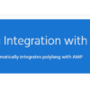 Polylang For AMP