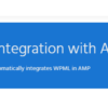 WPML For AMP
