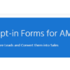 Email Opt in Forms for AMP