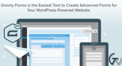 Gravity Forms HubSpot Add-On 2.0.1