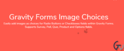 Jetsloth - Gravity Forms Image Choices 1.4.27