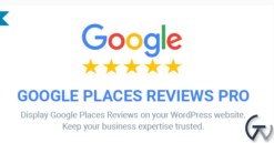 Google Places Reviews Pro WordPress Plugin 2.4.5