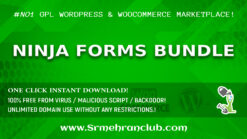 Ninja Forms Bundle