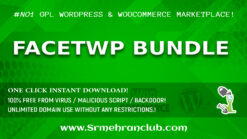 FacetWP Bundle