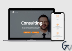 VisualModo Financial WordPress Theme 2.0.4