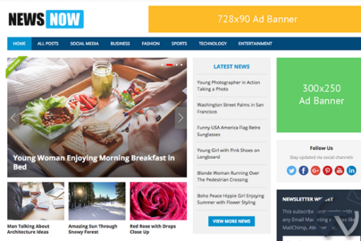 HappyThemes NewsNow Pro