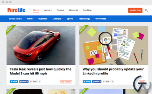 HappyThemes PureLife Pro