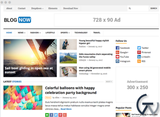 HappyThemes BlogNow Pro