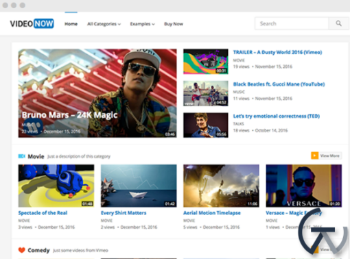 HappyThemes VideoNow Pro