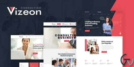 Vizeon Business Consulting WordPress Themes 1