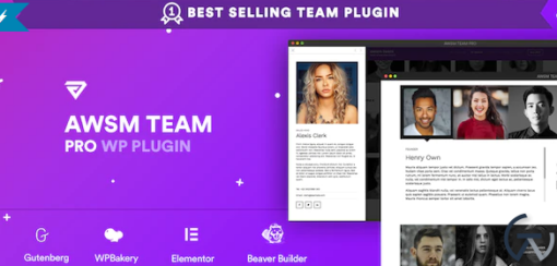 AWSM Team Pro Team Showcase Plugin