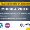 Modula Video