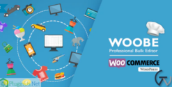 WOOBE - WooCommerce Bulk Editor Professional 2.1.1