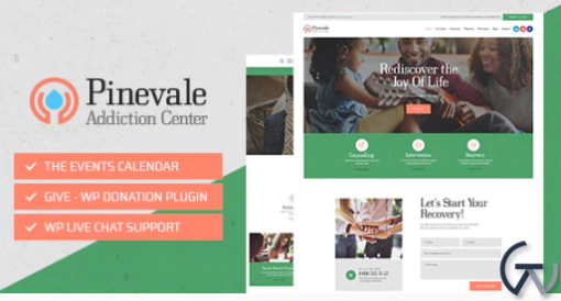 Pinevale Addiction Recovery and Rehabilitation Center WordPress Theme