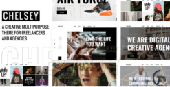 Chelsey - Portfolio Theme for Freelancers and Agencies 6.0.3