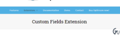 UpStream Custom Fields 1.10.4