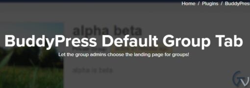 BuddyPress Default Group Tab
