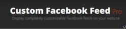 Custom Facebook Feed Pro – Extensions 1.7.1