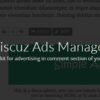 WpDiscuz %E2%80%93 Ads Manager