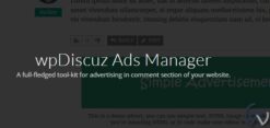 WpDiscuz – Ads Manager 7.0.8