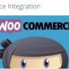 WP Adverts %E2%80%93 WooCommerce Integration Addon