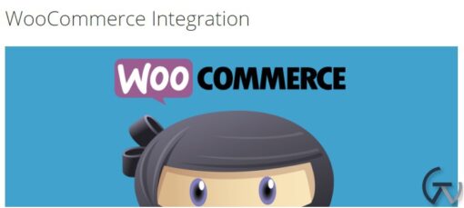 WP Adverts %E2%80%93 WooCommerce Integration Addon