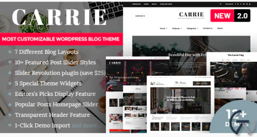 Carrie Personal Magazine WordPress Theme