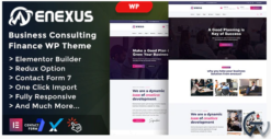Enexus - Consulting Business Elementor WordPress Theme 1.0