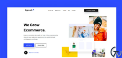 Egrowit - Digital Marketing Consultant Elementor WordPress Theme