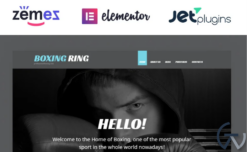 Boxing Responsive WordPress Theme