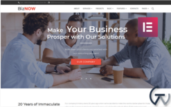Biznow - Business Consulting Elementor WordPress Theme WordPress