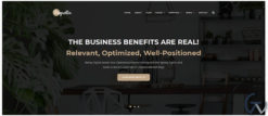 Payrollix - Internet Business Accounting WordPress Theme