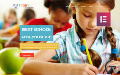 Teddy Academy - Primary School Elementor WordPress Theme