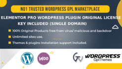 Elementor Pro WordPress Plugin Original License key Included (Single Domain)