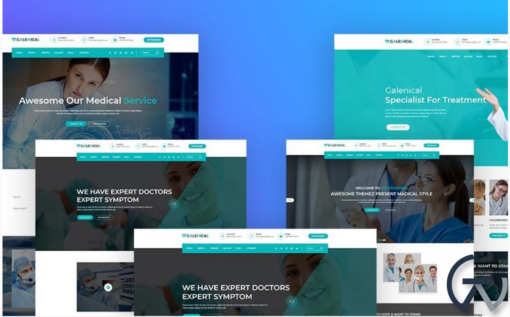 Galenical Medical Health Service WordPress Theme