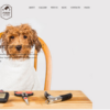 Furry - Pet Grooming WordPress Theme 3 Furry Pet Grooming WordPress Theme