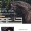 Horsieside Equestrian Center Responsive WordPress Theme 1