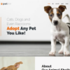 PetInn - Animal Shelter Responsive WordPress Theme 2 PetInn Animal Shelter Responsive WordPress Theme