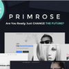 Primrose Multipurpose WordPress Theme