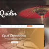 Quidin - Charity Fully Responsive WordPress Theme 2 Quidin Charity Fully Responsive WordPress Theme