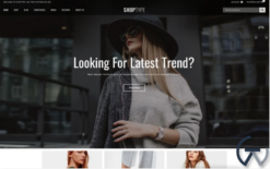 ShopType - Fashion Store WooCommerce Theme