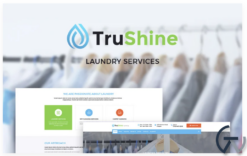 TruShine Laundry Service WordPress Theme