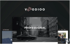 Voodioo - Videographer Responsive WordPress Theme